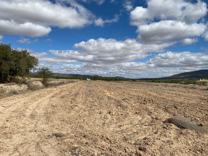 Image No.3-Terreno en venta