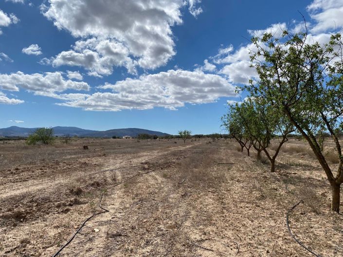 Image No.4-Terreno en venta