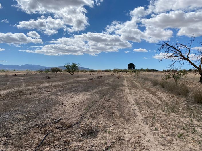 Image No.5-Land for sale