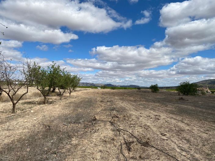 Image No.8-Terreno en venta