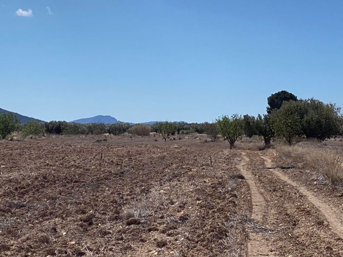 Image No.9-Terreno en venta