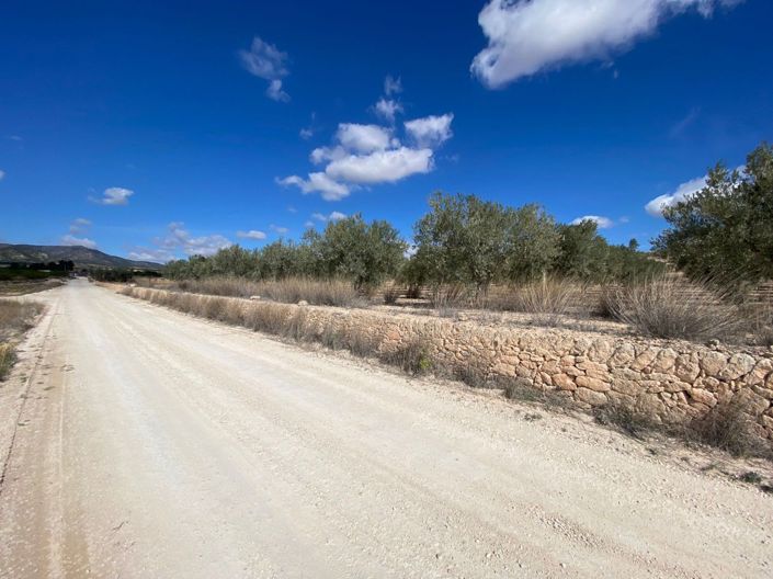Image No.2-Land for sale