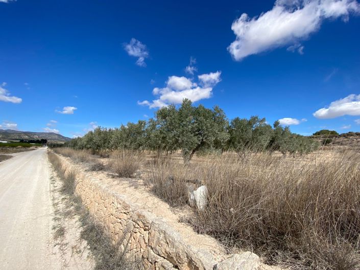 Image No.5-Land for sale