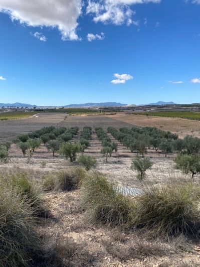 Image No.6-Land for sale