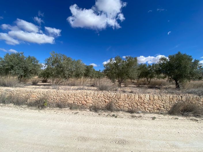 Image No.7-Land for sale