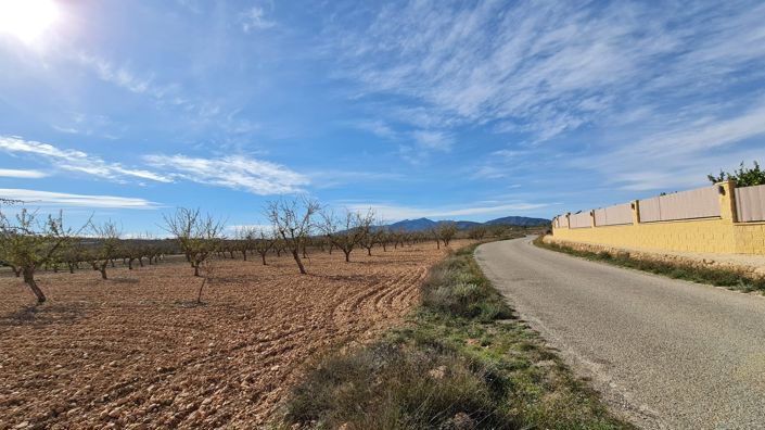 Image No.3-Terre à vendre à Pinoso