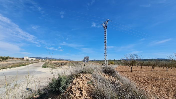 Image No.7-Terre à vendre à Pinoso