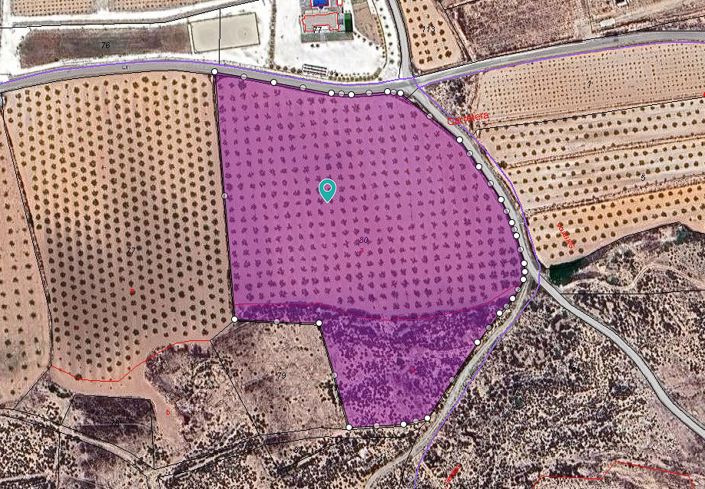 Image No.8-Terre à vendre à Pinoso