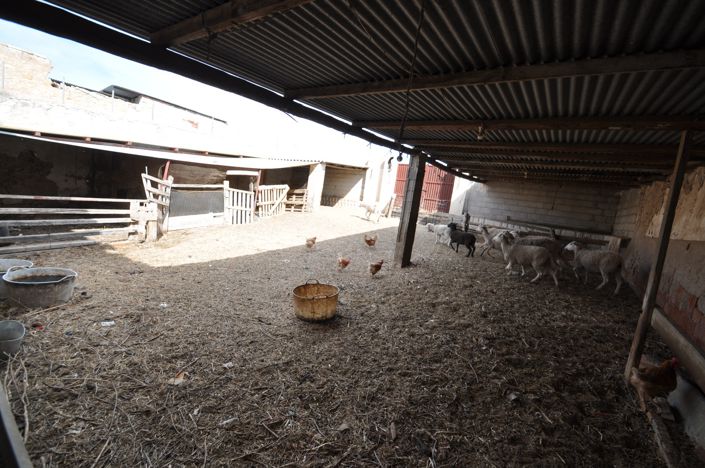 Image No.38-Maison de campagne de 4 chambres à vendre à Monóvar