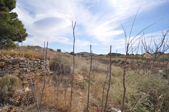 Image No.43-Maison de campagne de 4 chambres à vendre à Monóvar