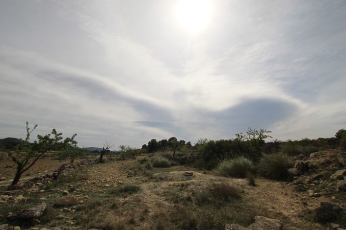 Image No.23-Maison de campagne de 1 chambre à vendre à Monóvar