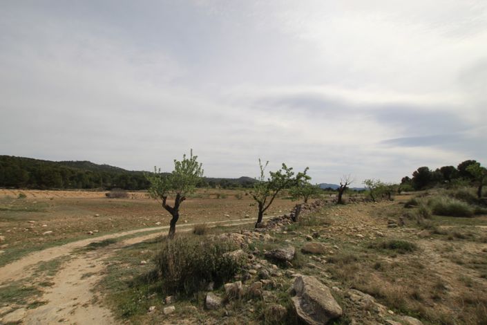 Image No.24-Maison de campagne de 1 chambre à vendre à Monóvar