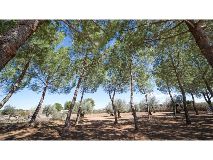 Image No.20-6 Bed Villa for sale