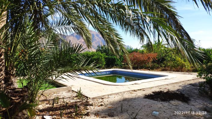 Image No.3-Villa de 2 chambres à vendre à Redován