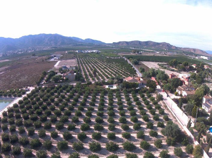 Image No.39-Villa de 2 chambres à vendre à Redován