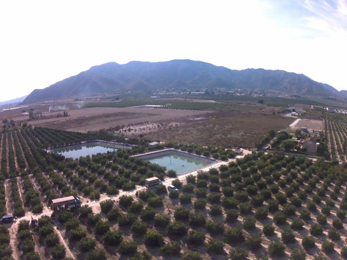 Image No.42-Villa de 2 chambres à vendre à Redován