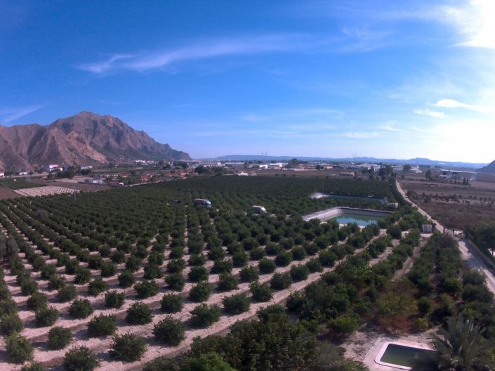 Image No.45-Villa de 2 chambres à vendre à Redován