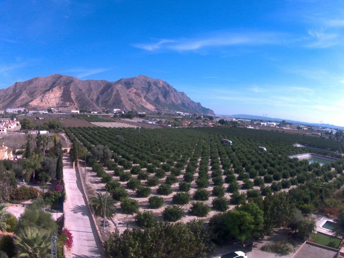 Image No.47-Villa de 2 chambres à vendre à Redován