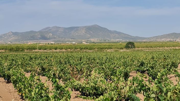 Image No.2-Land for sale