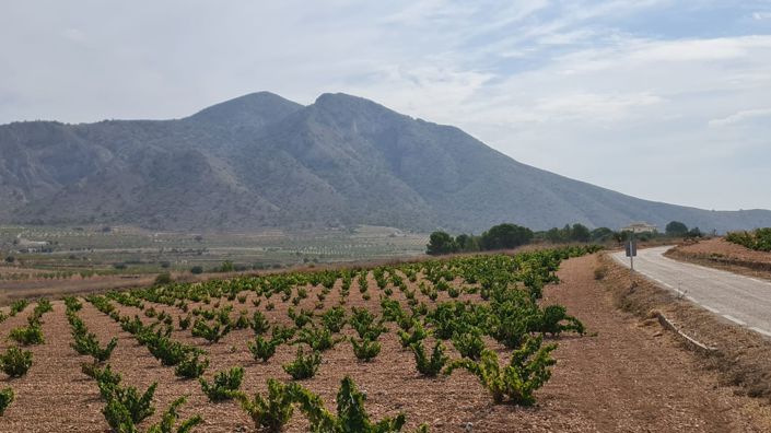 Image No.5-Terreno en venta
