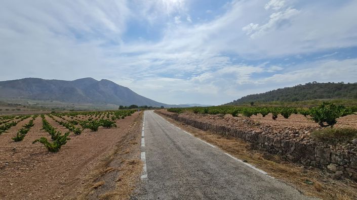 Image No.7-Terre à vendre à Abanilla