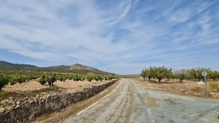 Image No.9-Terre à vendre à Abanilla