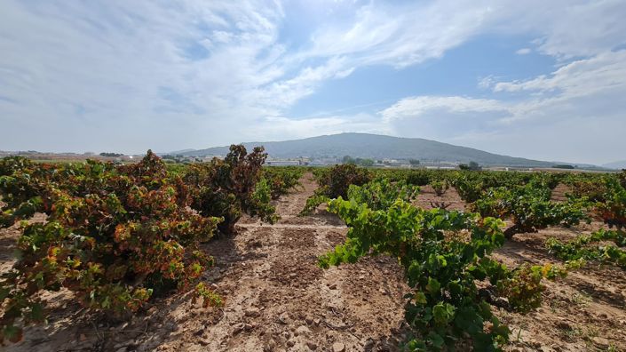 Image No.10-Land for sale