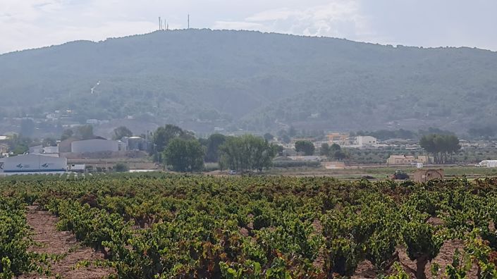 Image No.11-Land for sale