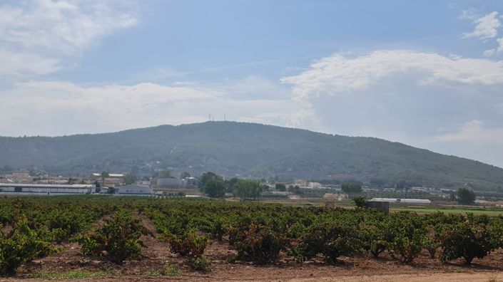 Image No.12-Land for sale