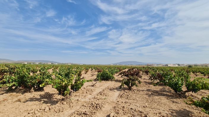 Image No.13-Land for sale