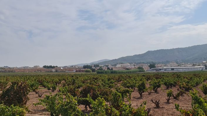 Image No.14-Land for sale