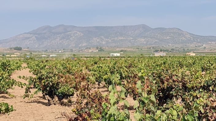 Image No.2-Land for sale