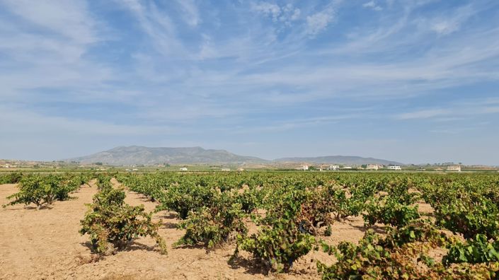 Image No.4-Land for sale