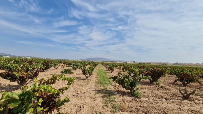 Image No.9-Land for sale