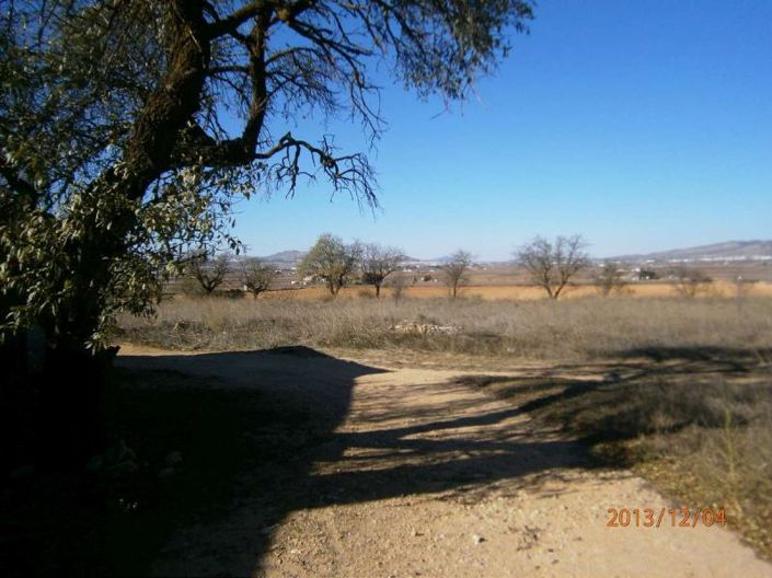 Image No.22-Maison de campagne de 3 chambres à vendre à Yecla