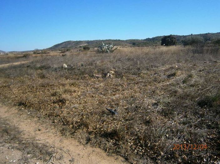 Image No.28-Maison de campagne de 3 chambres à vendre à Yecla