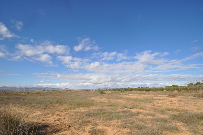 Image No.29-Maison de campagne à vendre à Yecla