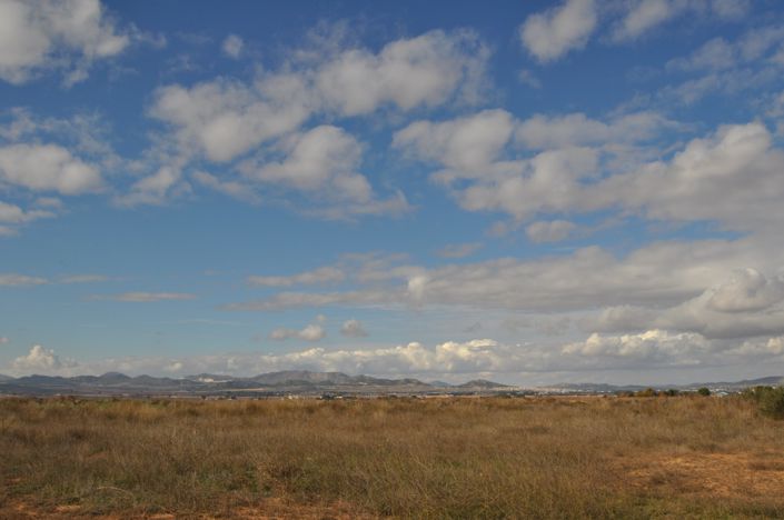 Image No.32-Maison de campagne à vendre à Yecla