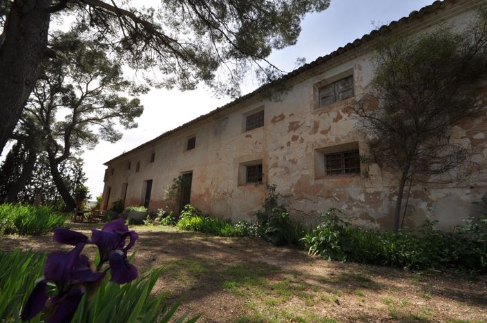 Image No.38-15 Bed Country House for sale