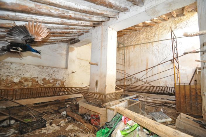 Image No.42-15 Bed Country House for sale