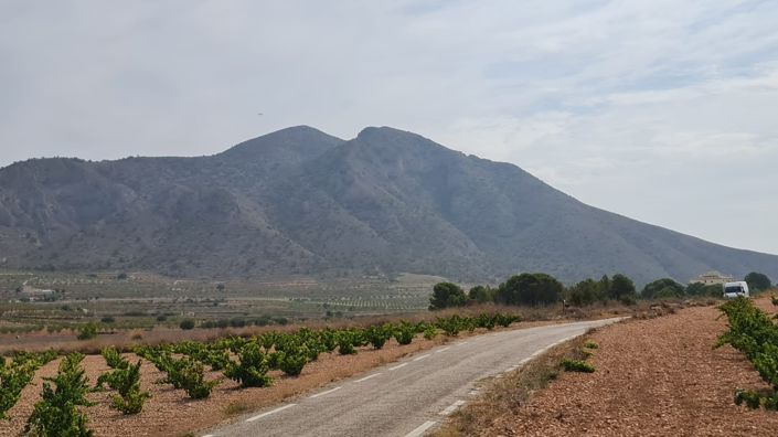 Image No.4-Terre à vendre à Abanilla