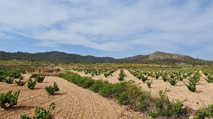 Image No.6-Land for sale