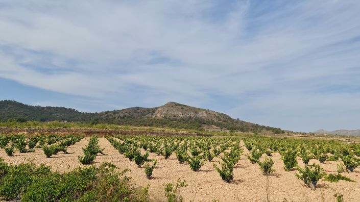 Image No.9-Land for sale