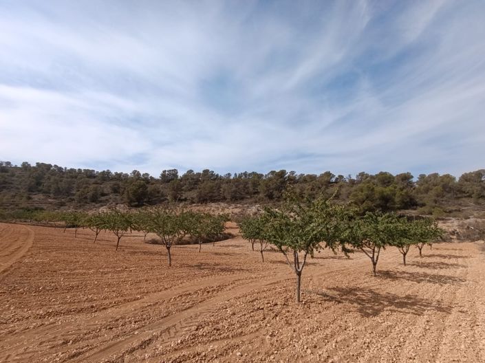 Image No.3-Land for sale