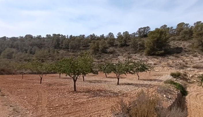 Image No.4-Land for sale