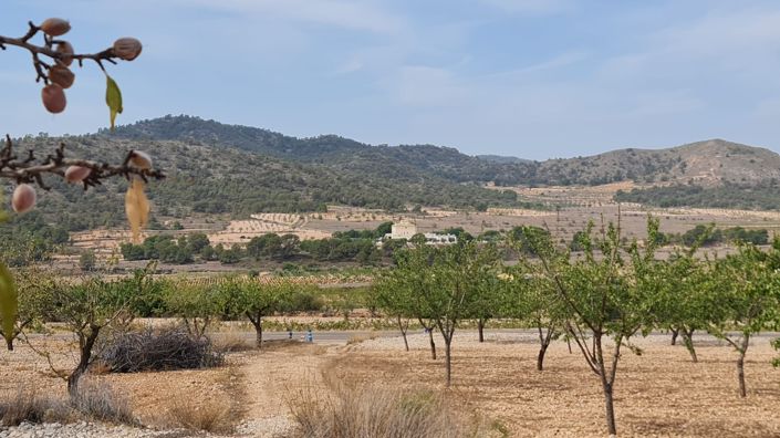 Image No.1-Terre à vendre à Algueña