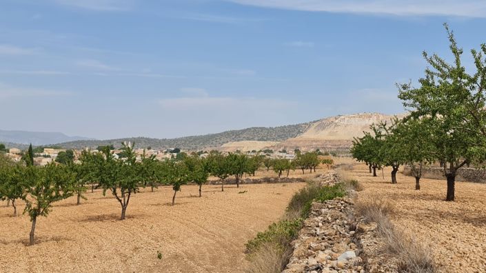 Image No.2-Land for sale