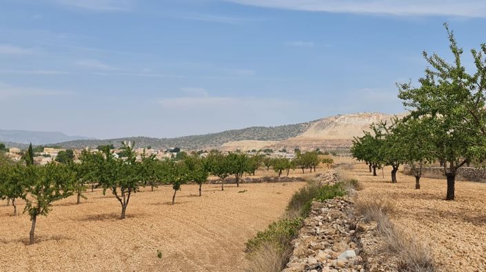 Image No.2-Land for sale