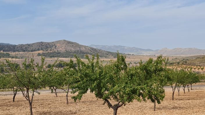 Image No.4-Land for sale