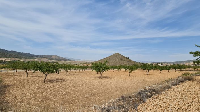 Image No.6-Land for sale